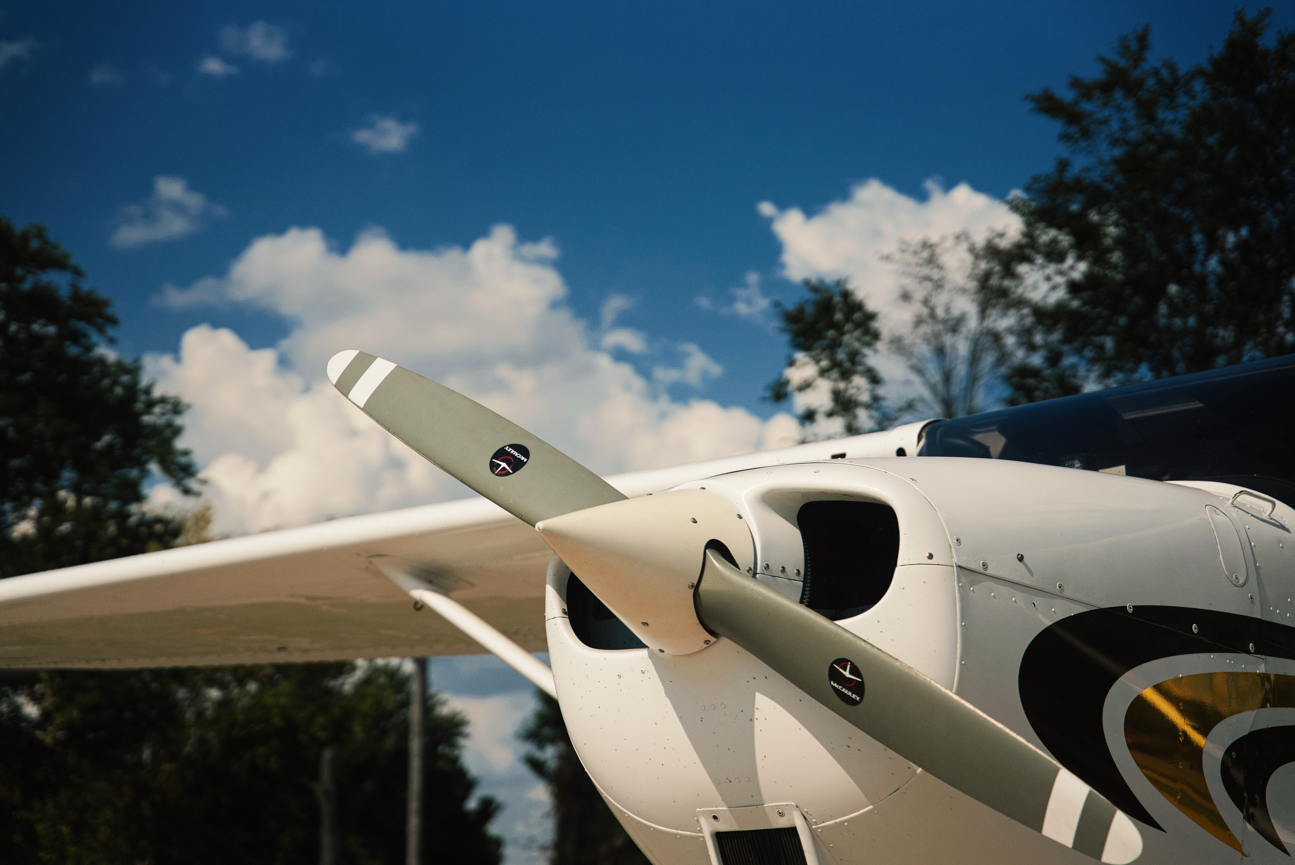 Plane nose detail