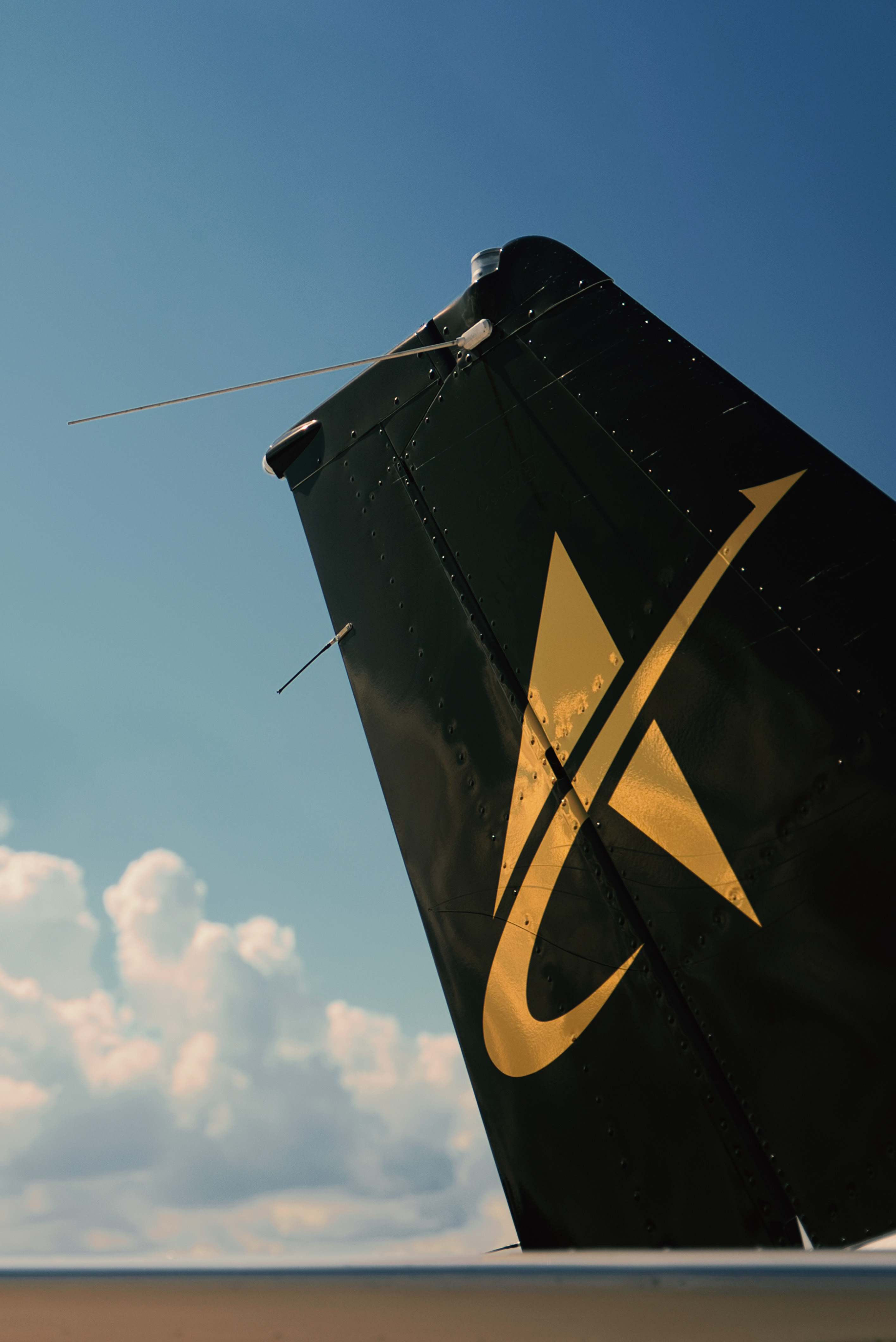 Tail logo detail